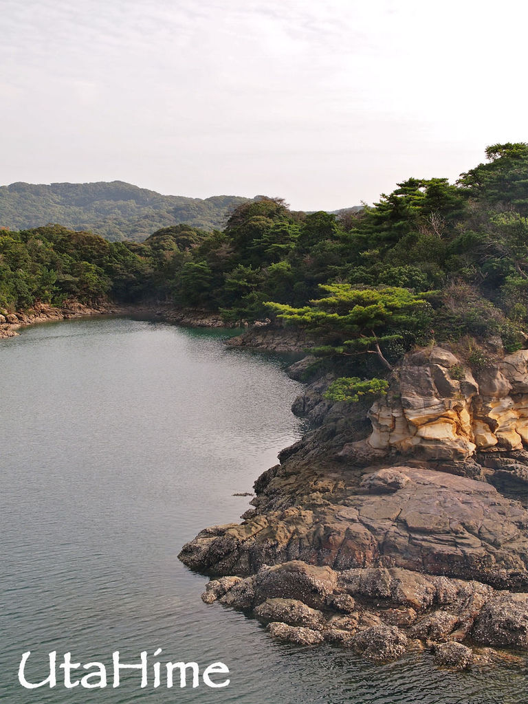 1012-241.jpg 1012-241.jpg