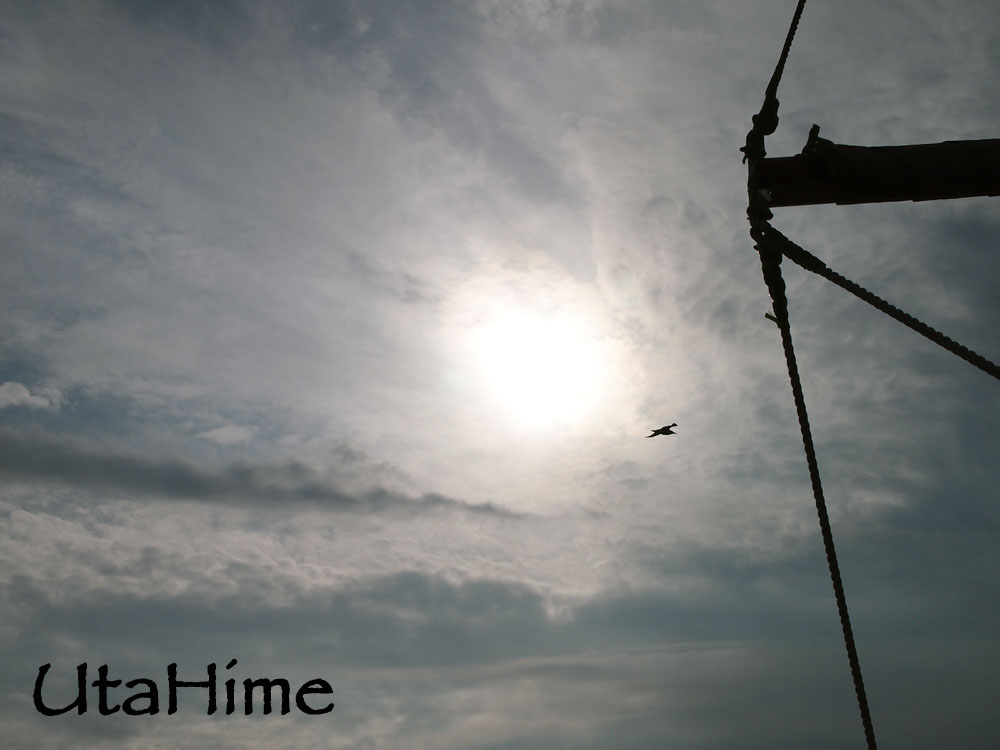 1012-249.jpg 1012-249.jpg