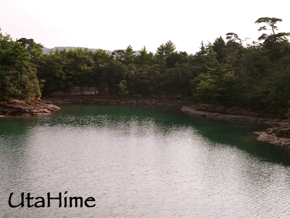 1012-240.jpg 1012-240.jpg