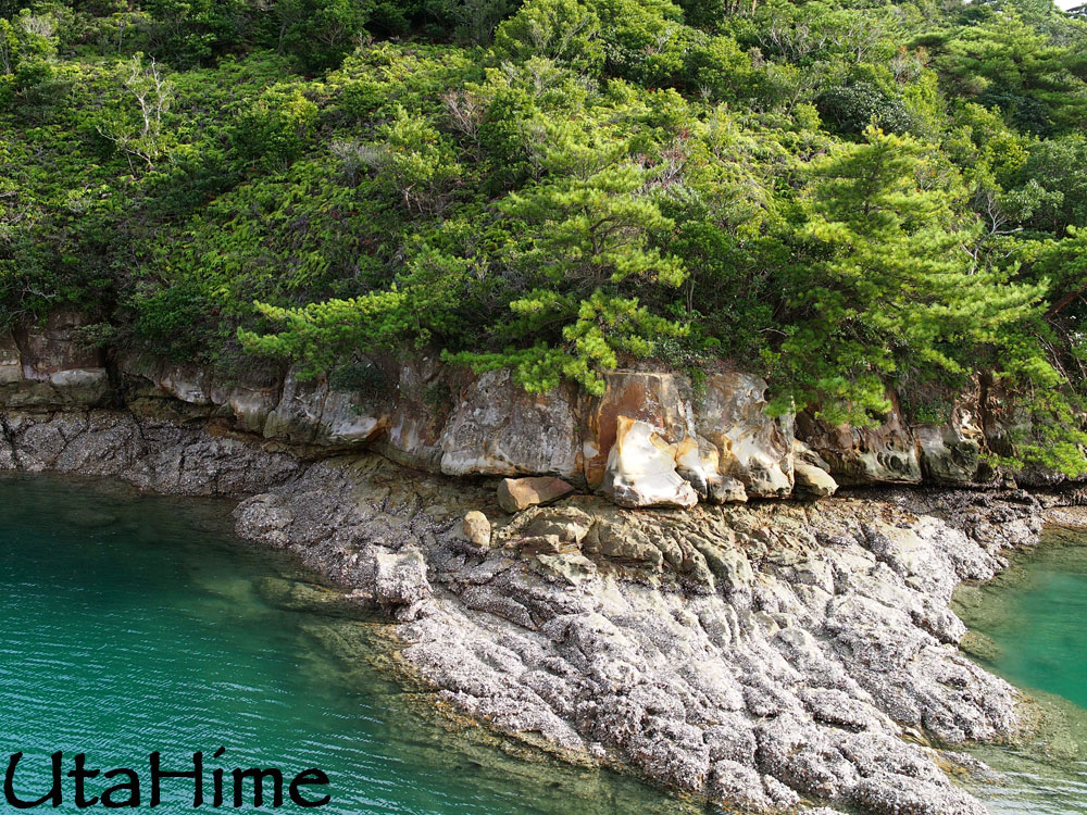 1012-238.jpg 1012-238.jpg