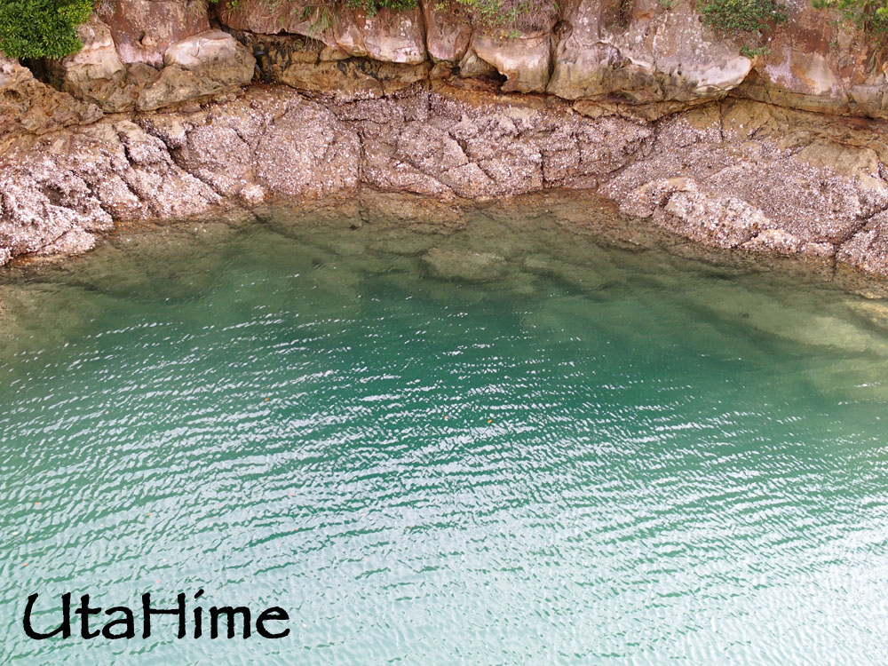 1012-239.jpg 1012-239.jpg