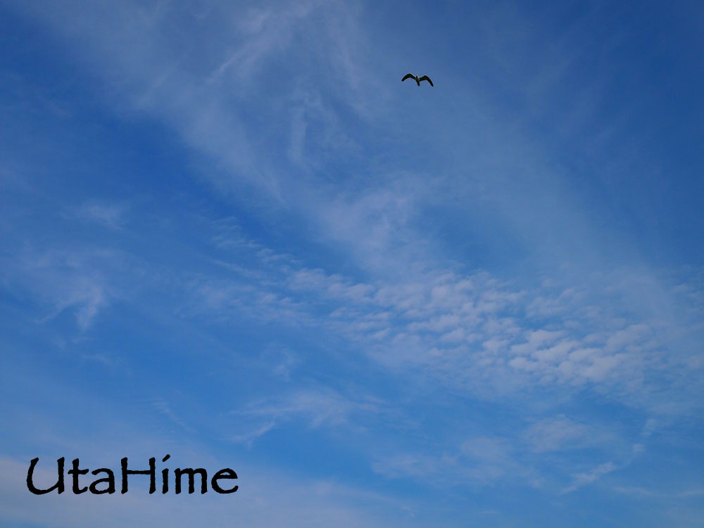 1012-248.jpg 1012-248.jpg