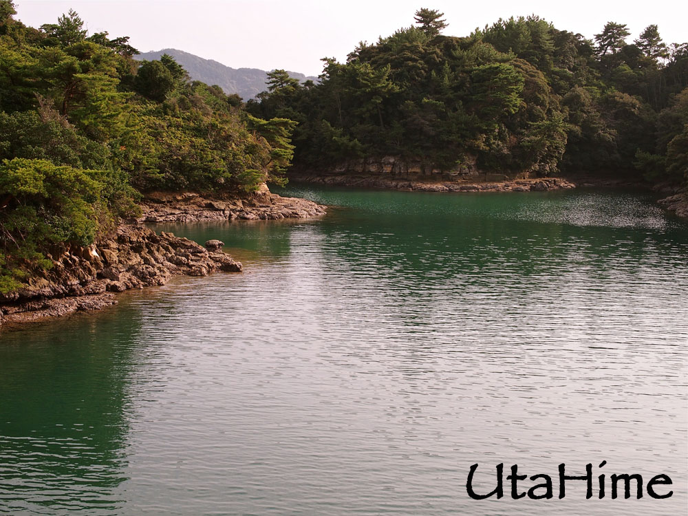 1012-237.jpg 1012-237.jpg