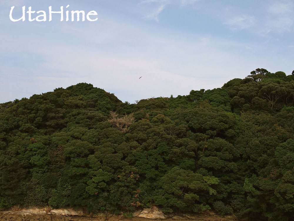 1012-242.jpg 1012-242.jpg