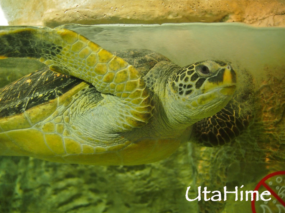 1012-269.jpg 1012-269.jpg