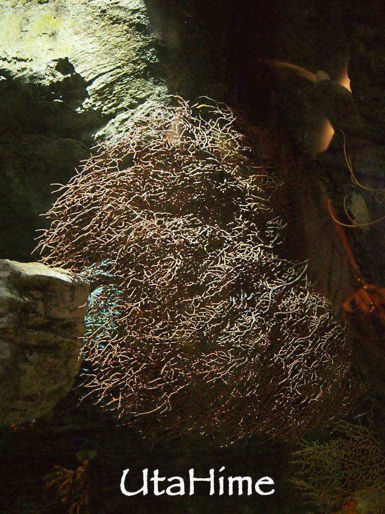 1012-264.jpg 1012-264.jpg