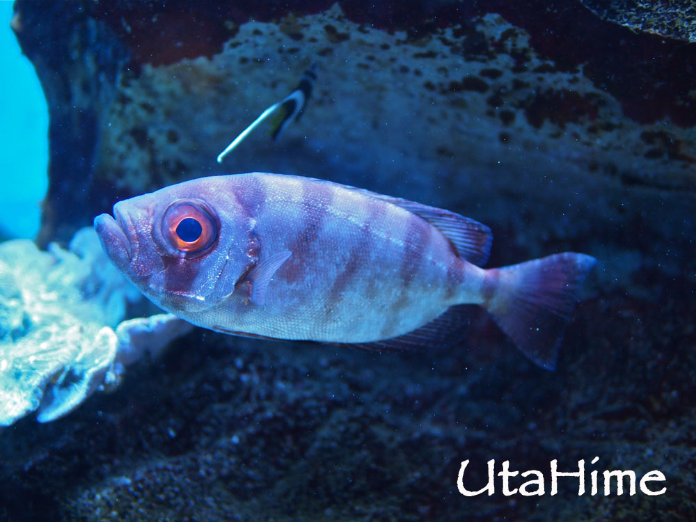 1012-267.jpg 1012-267.jpg