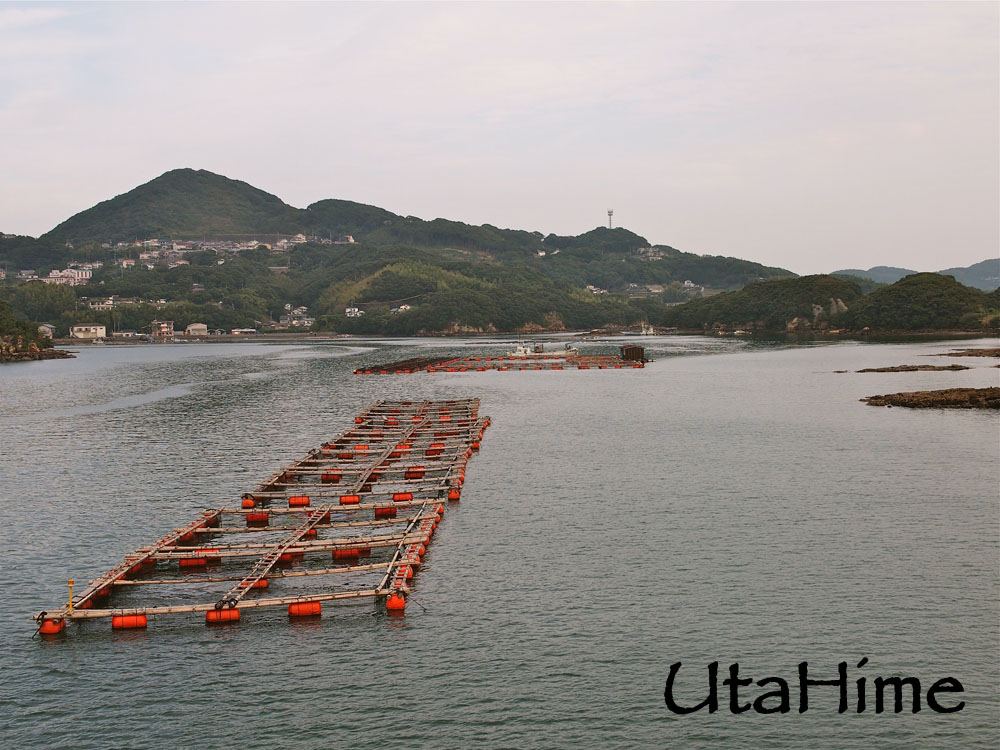 1012-253.jpg 1012-253.jpg