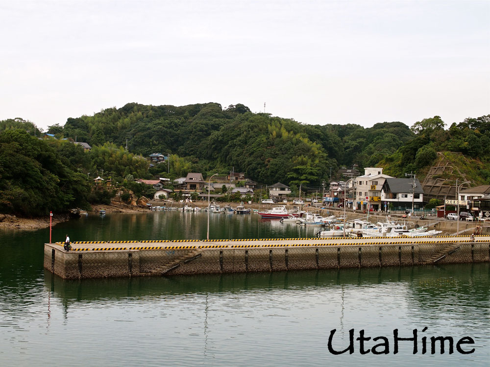 1012-255.jpg 1012-255.jpg