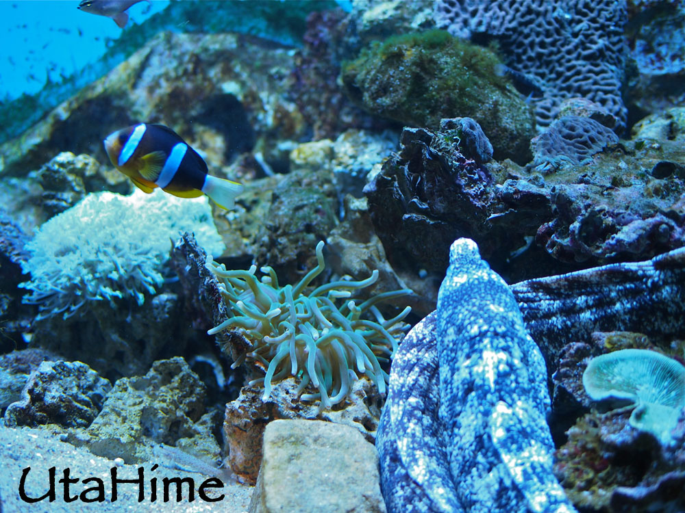 1012-266.jpg 1012-266.jpg