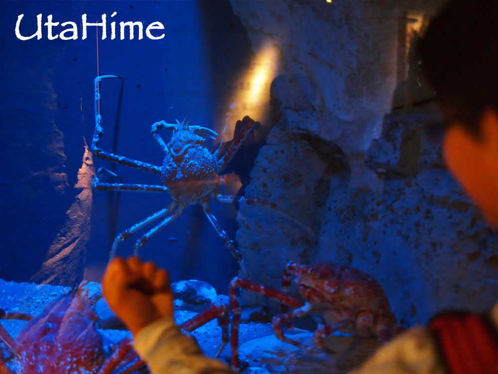 1012-263.jpg 1012-263.jpg