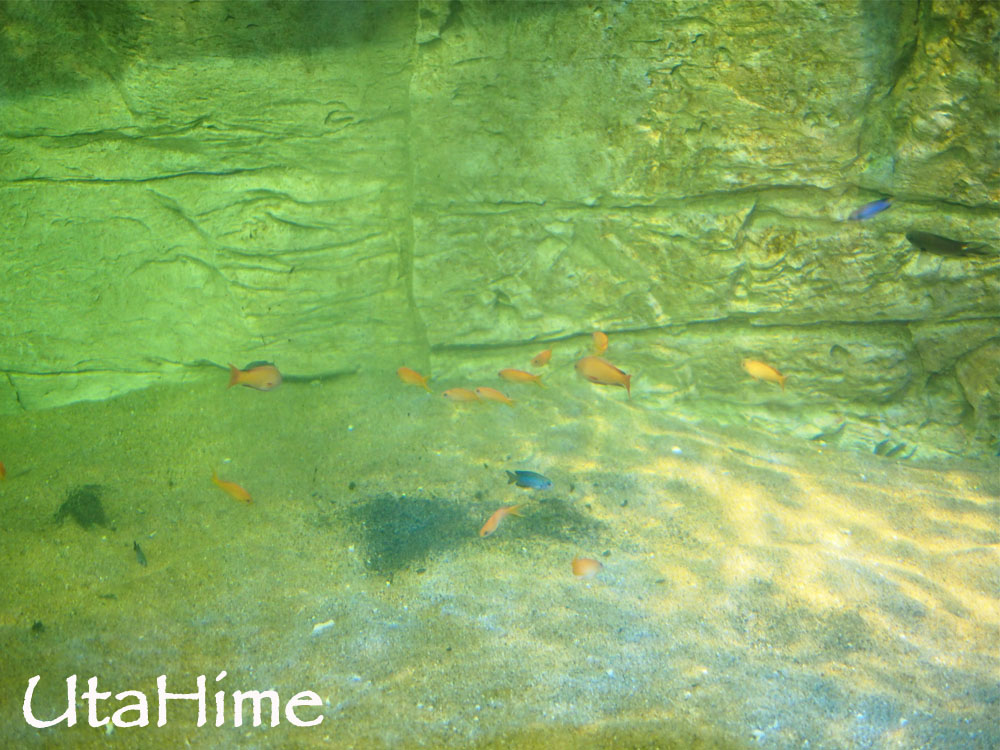 1012-274.jpg 1012-274.jpg