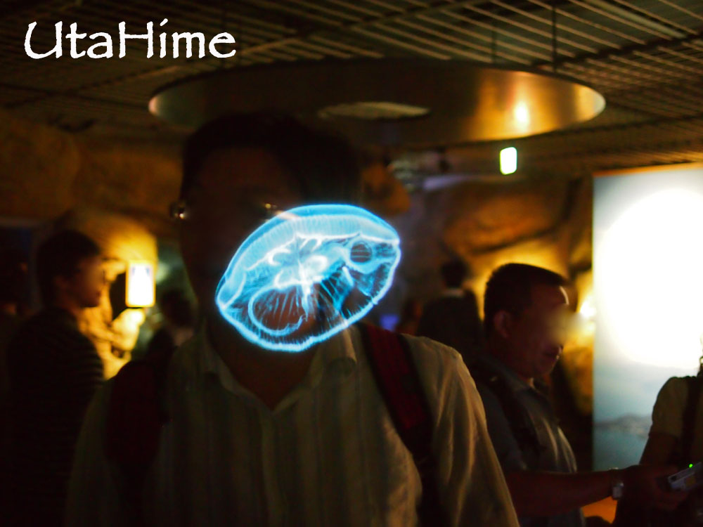 1012-262.jpg 1012-262.jpg