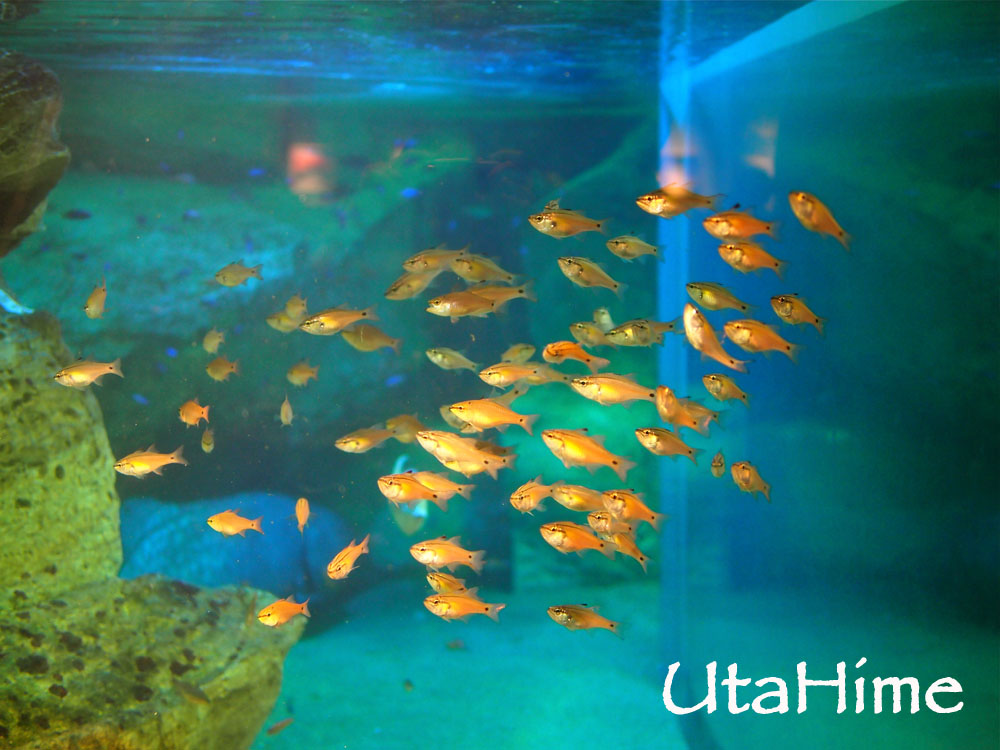 1012-271.jpg 1012-271.jpg