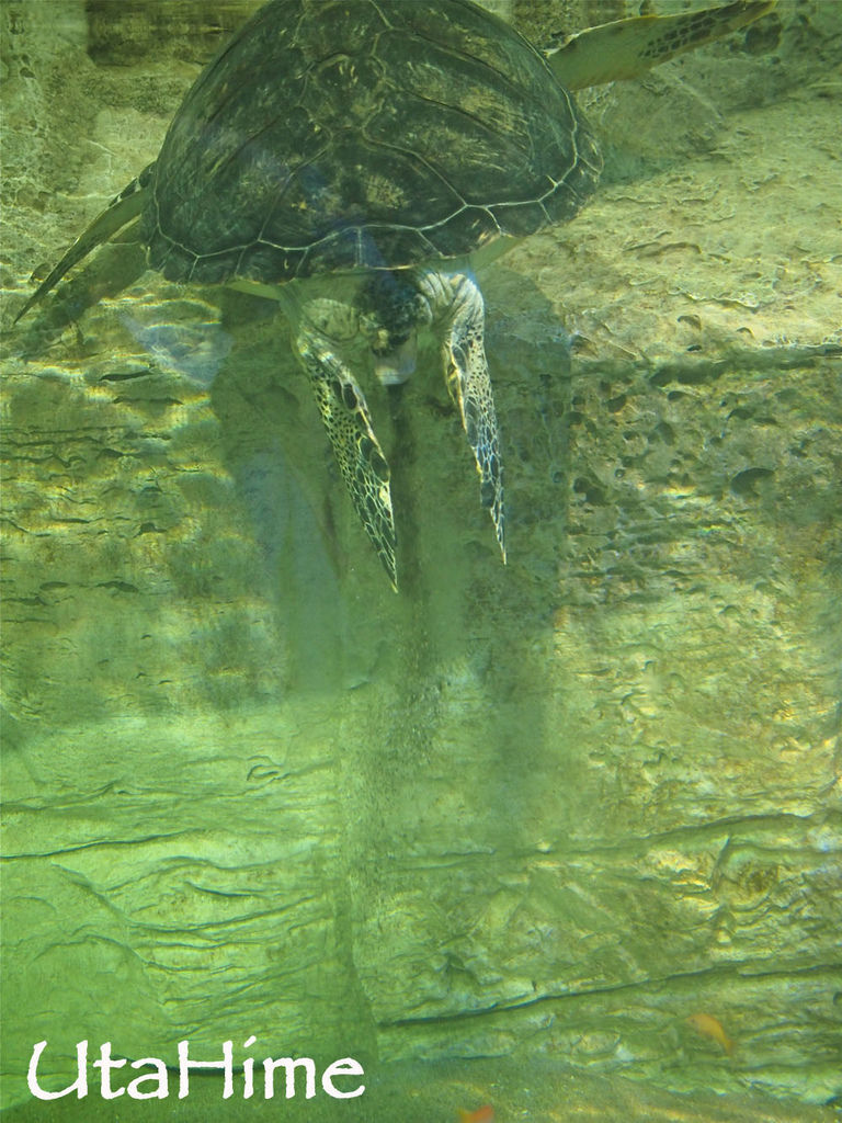 1012-273.jpg 1012-273.jpg