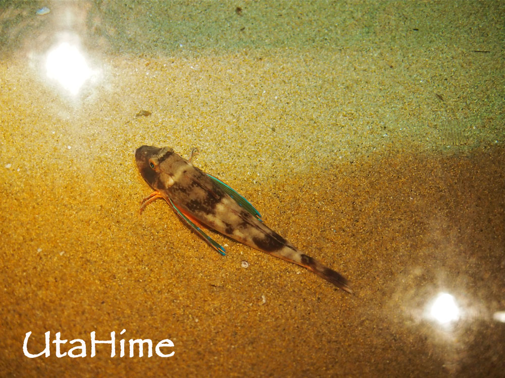 1012-268.jpg 1012-268.jpg