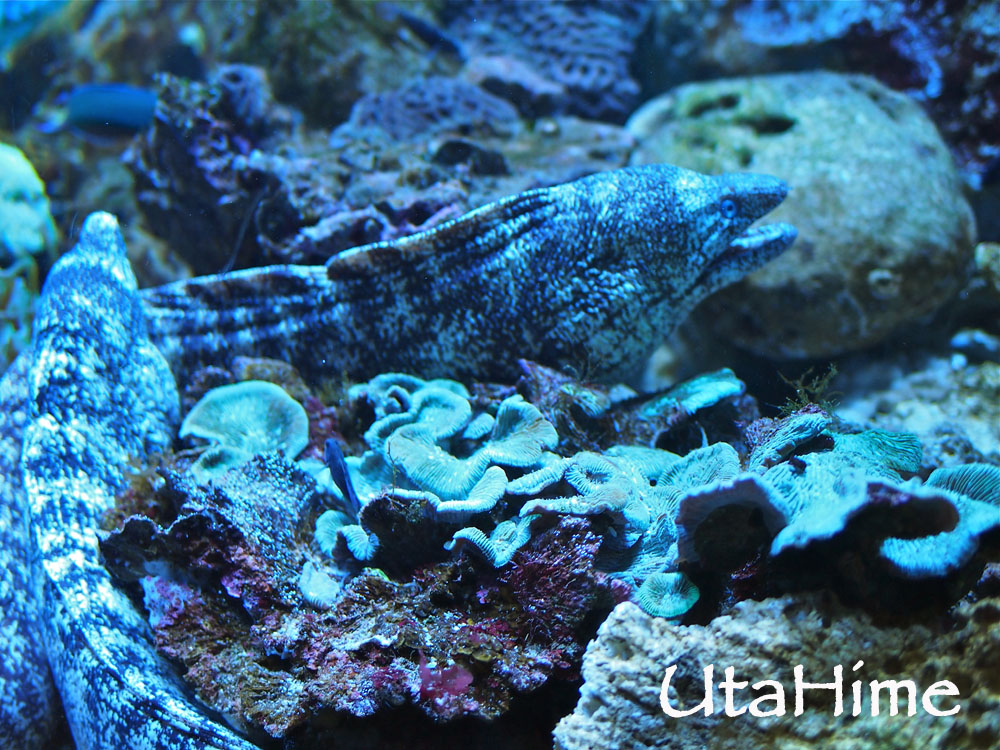 1012-265.jpg 1012-265.jpg