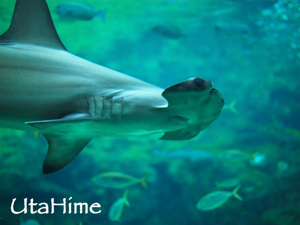 1012-280.jpg 1012-280.jpg