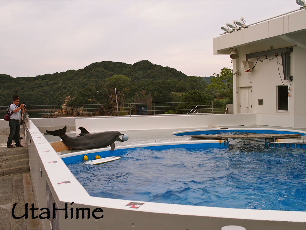 1012-290.jpg 1012-290.jpg