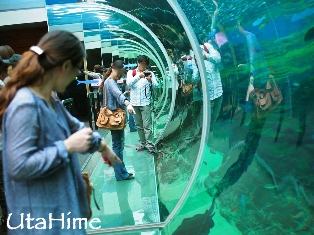 1012-283.jpg 1012-283.jpg