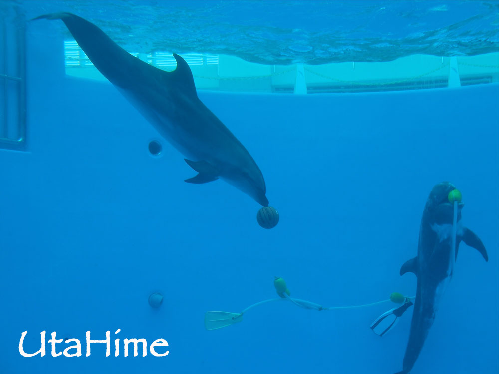 1012-276.jpg 1012-276.jpg