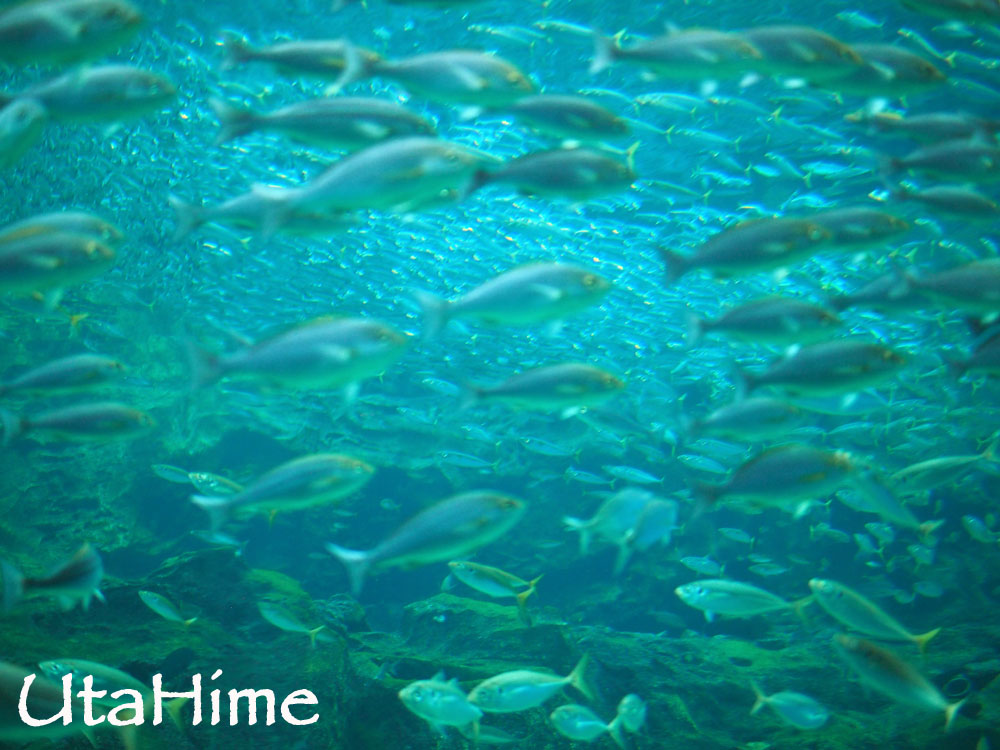 1012-278.jpg 1012-278.jpg