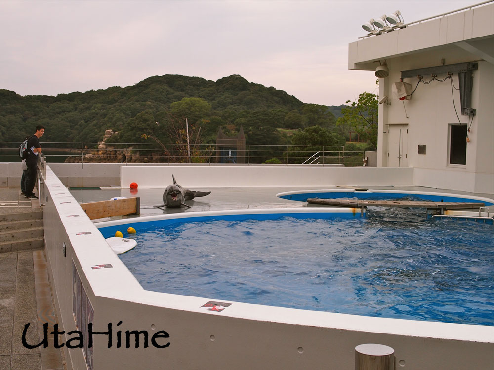 1012-289.jpg 1012-289.jpg