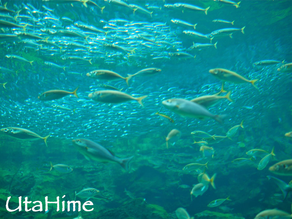 1012-279.jpg 1012-279.jpg