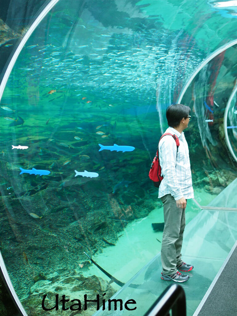 1012-285.jpg 1012-285.jpg