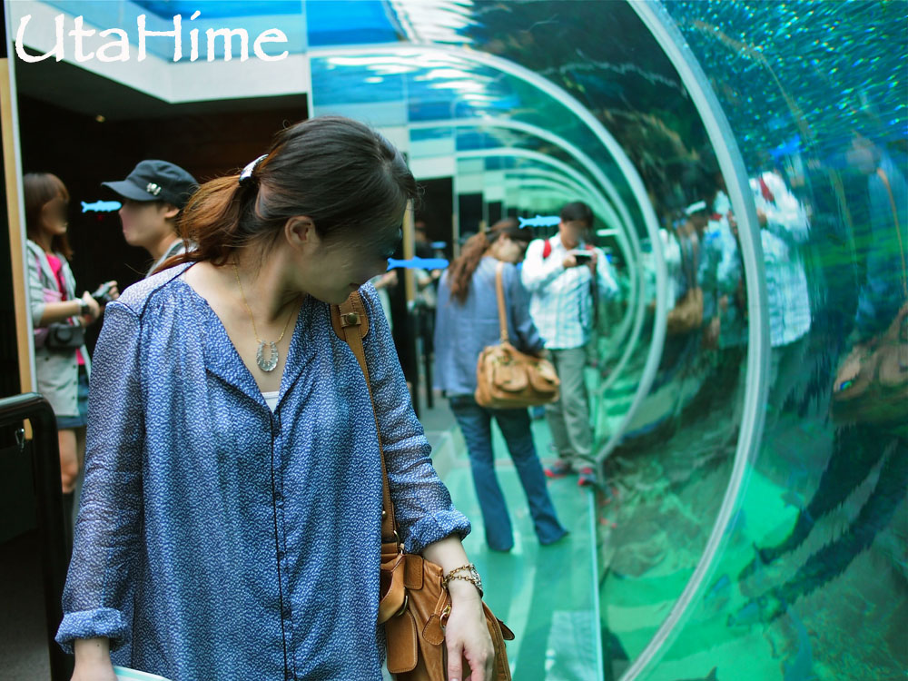 1012-282.jpg 1012-282.jpg