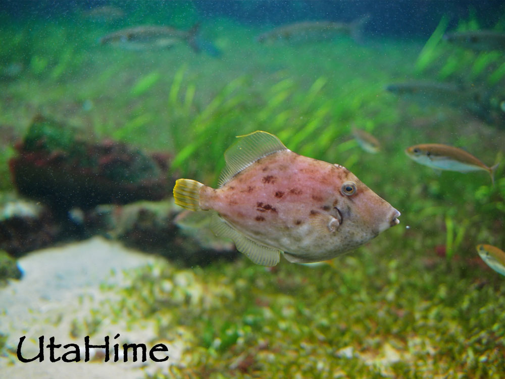 1012-287.jpg 1012-287.jpg