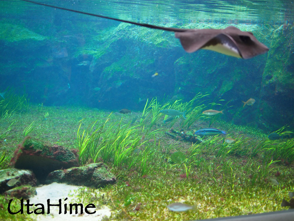 1012-288.jpg 1012-288.jpg