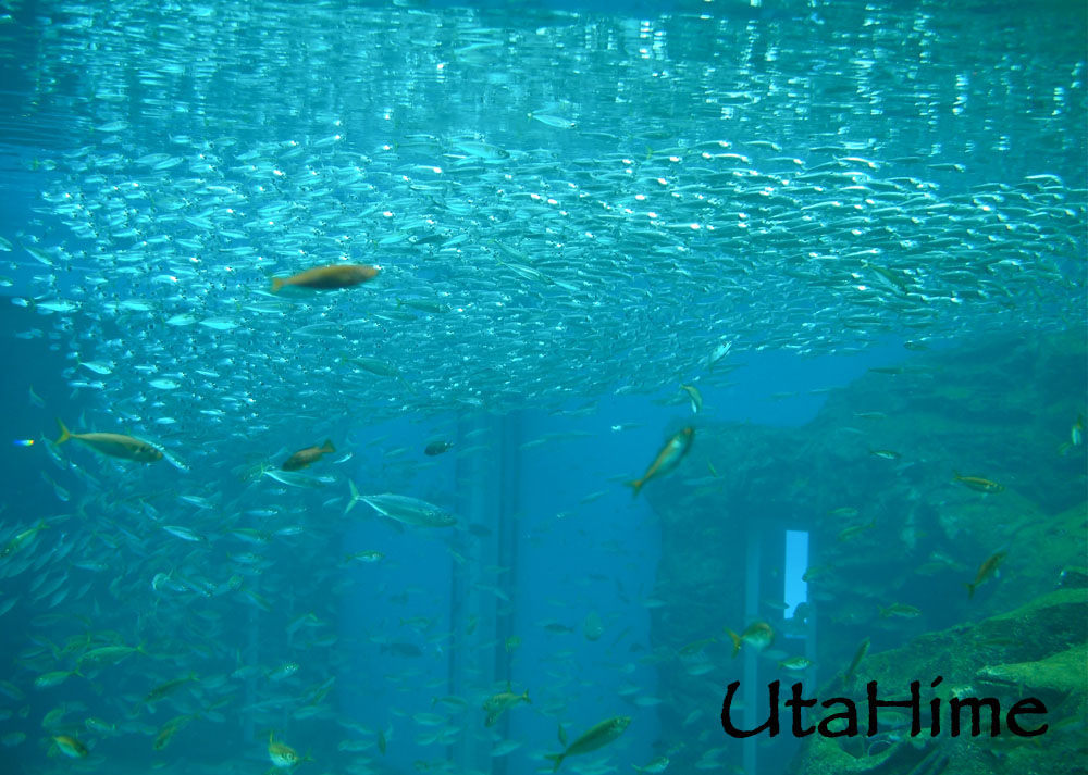 1012-286.jpg 1012-286.jpg