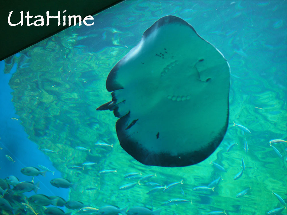 1012-281.jpg 1012-281.jpg