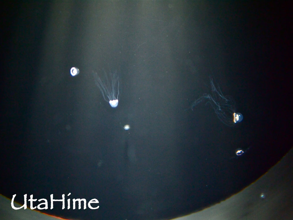 1012-308.jpg 1012-308.jpg