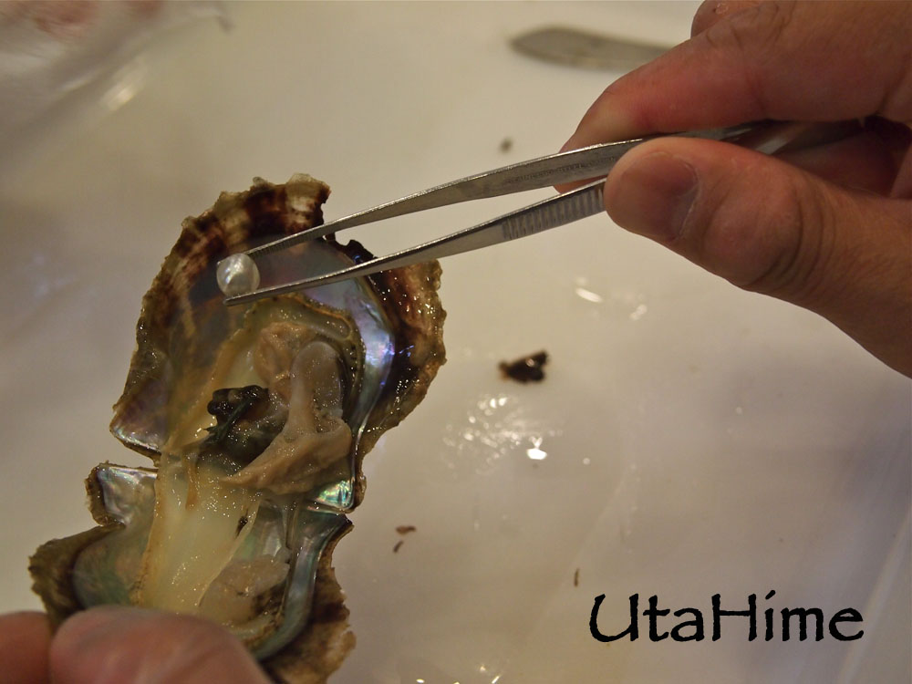 1012-295.jpg 1012-295.jpg