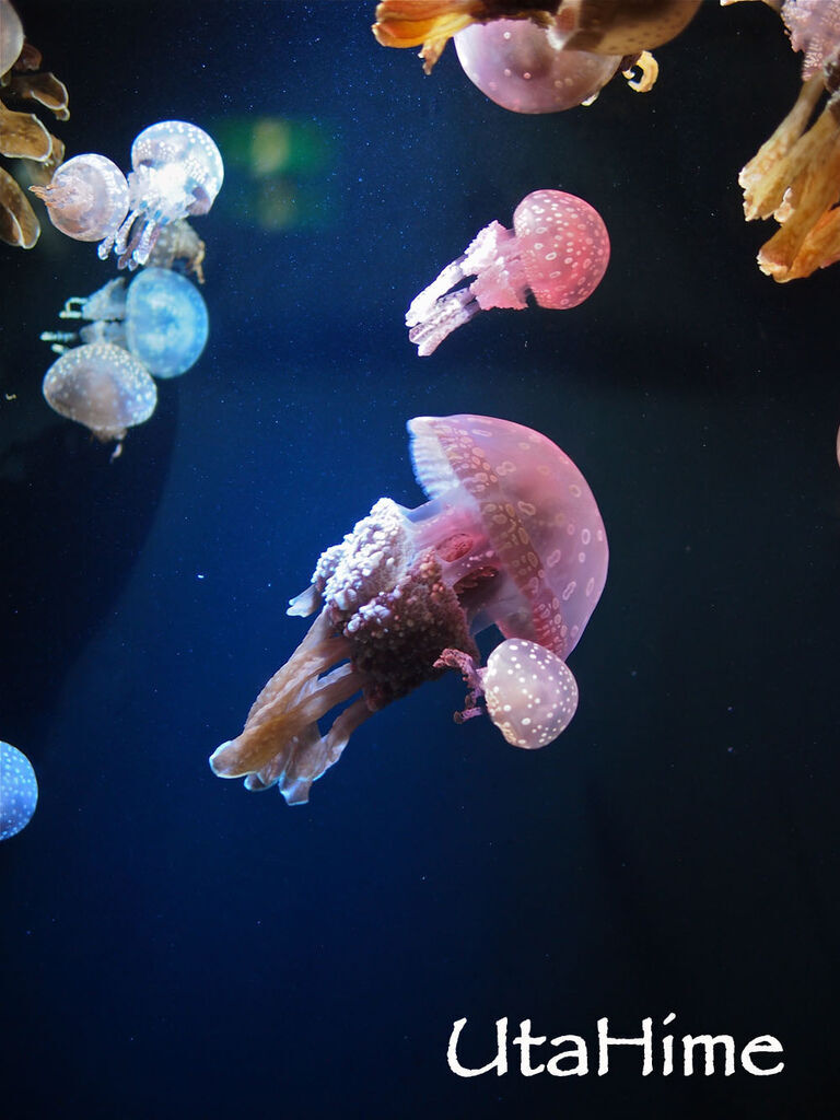 1012-306.jpg 1012-306.jpg