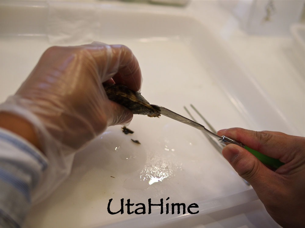 1012-294.jpg 1012-294.jpg