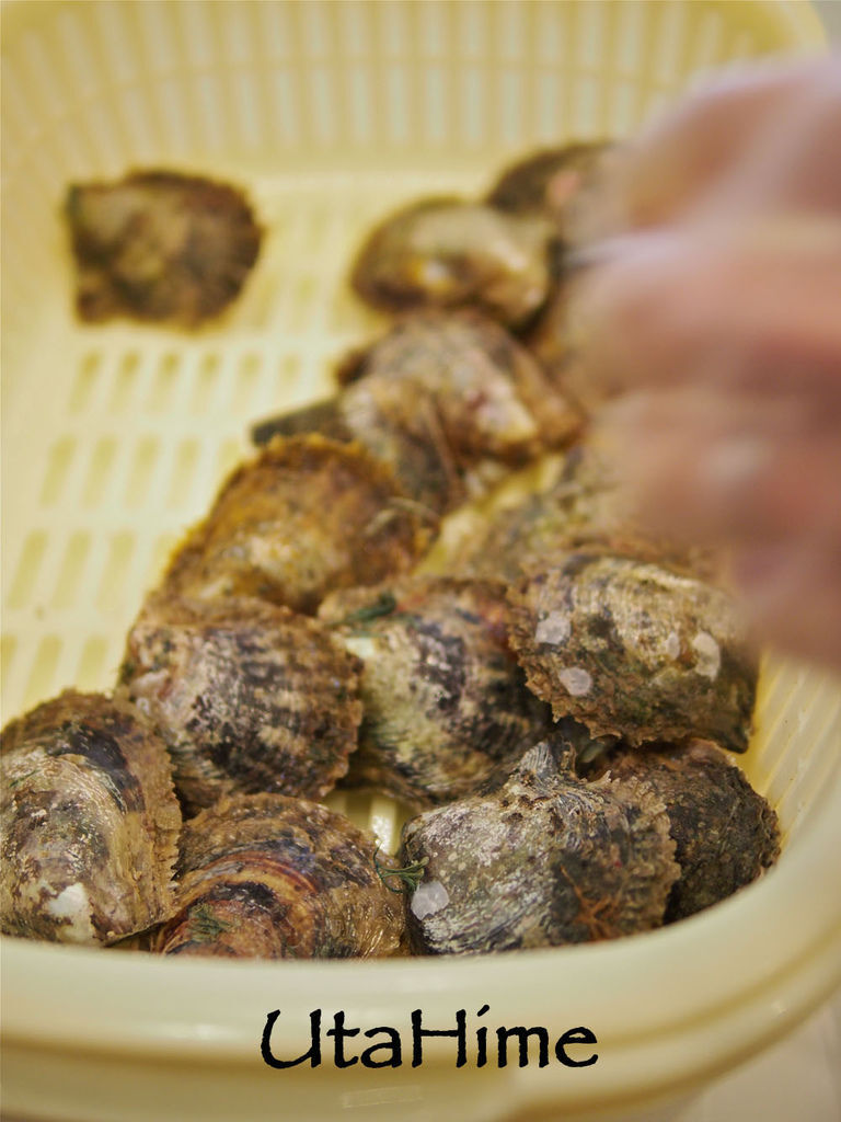 1012-293.jpg 1012-293.jpg