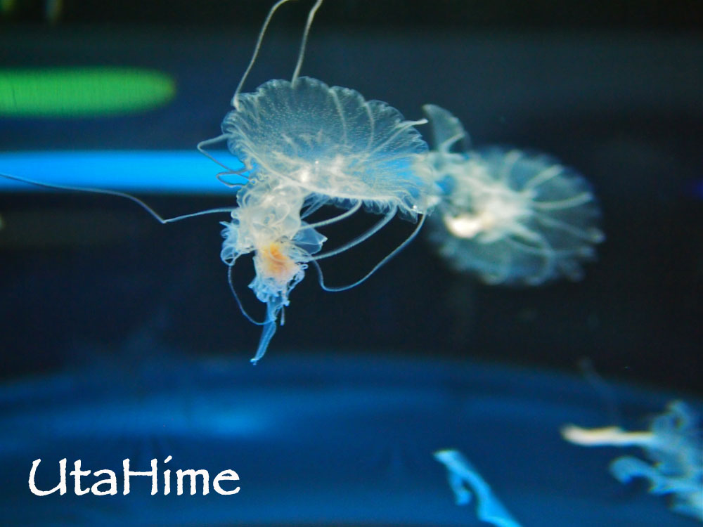 1012-307.jpg 1012-307.jpg