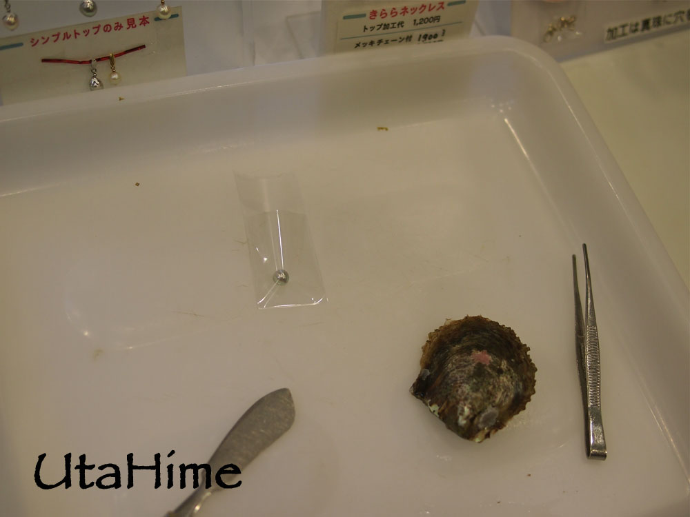 1012-298.jpg 1012-298.jpg