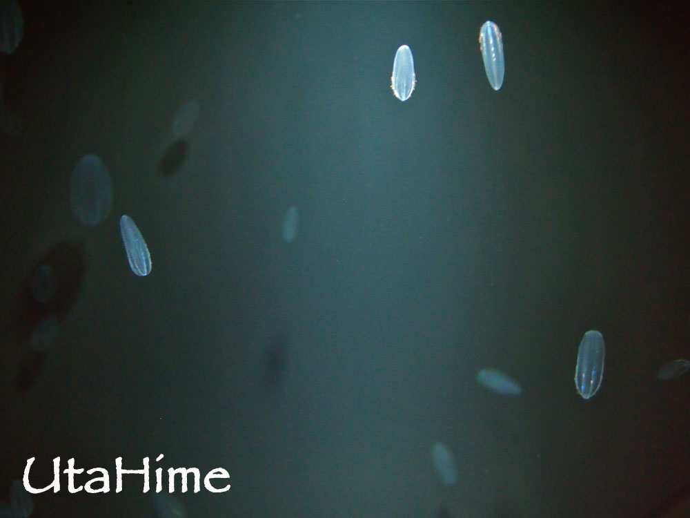 1012-311.jpg 1012-311.jpg