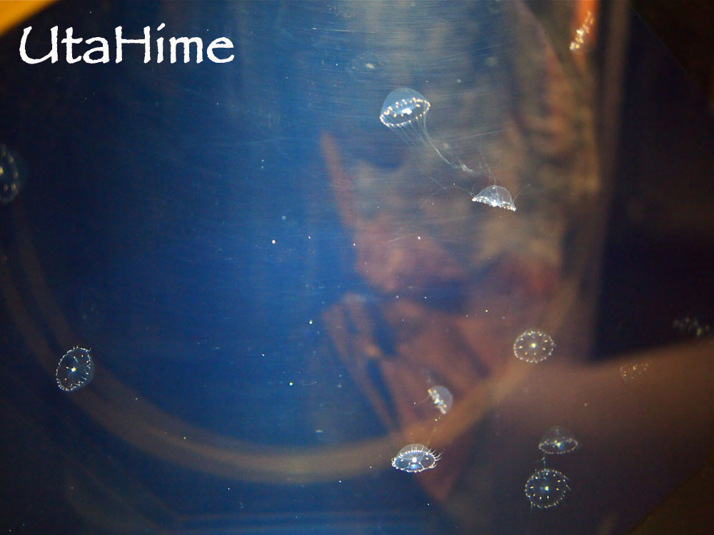 1012-312.jpg 1012-312.jpg