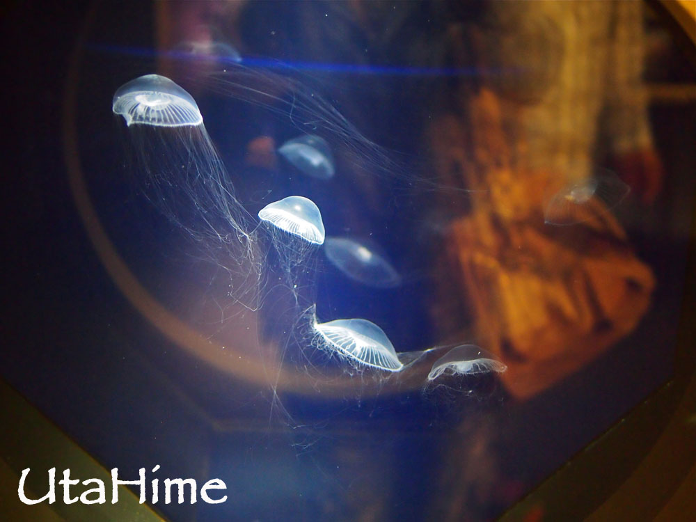 1012-313.jpg 1012-313.jpg