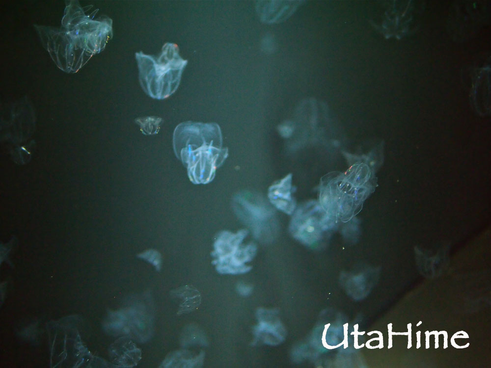 1012-310.jpg 1012-310.jpg