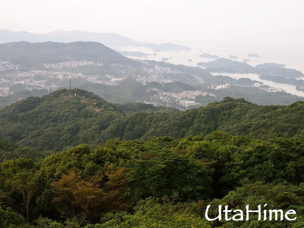 1012-478.jpg 1012-478.jpg