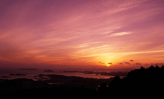 gallery12.jpg gallery12.jpg