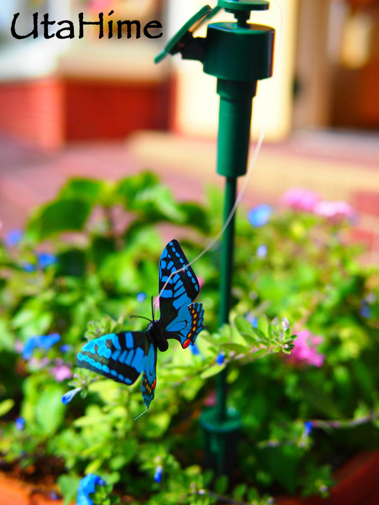 2012JapanD2 2012JapanD2