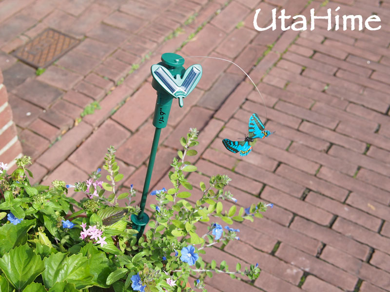 1013-066.jpg 1013-066.jpg