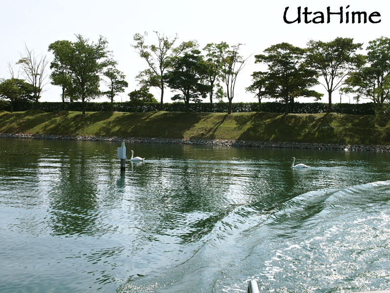 1013-116.jpg 1013-116.jpg